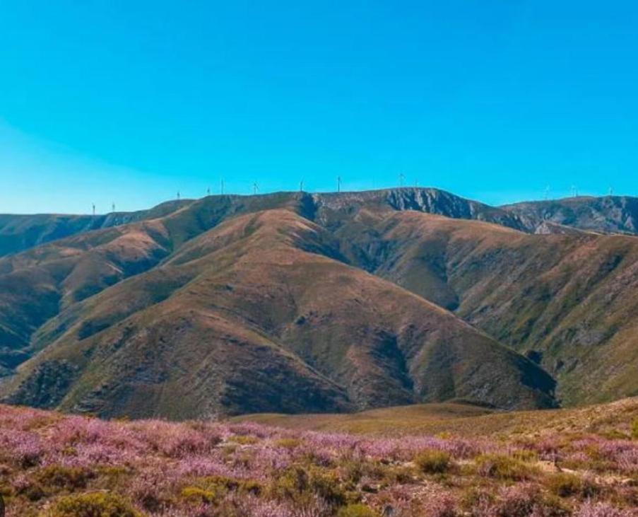 Casa Tia Vina - Serra Arouca Kültér fotó